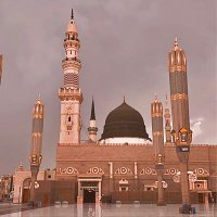 TIGER ( 50 ) (@alhazmi_ii) 's Twitter Profile
