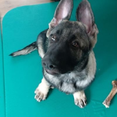 Bott453's profile picture. Play games on Ps