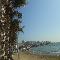 Emir (@alankripto) 's Twitter Profile