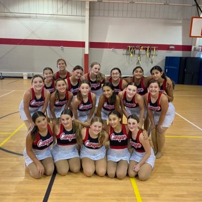 CMS TopCats Profile
