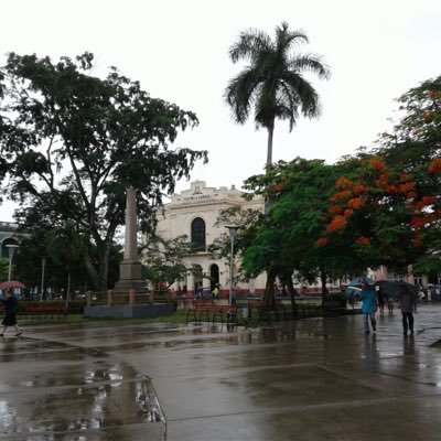 CampanaAurelia's profile picture. Me canse , pero 🇨🇺 tiene que ser Libre 💪🏼.