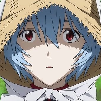 daily rei