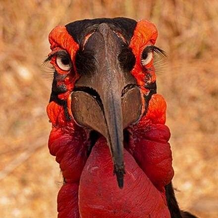 jina_jir's profile picture. Siempre aprendiendo