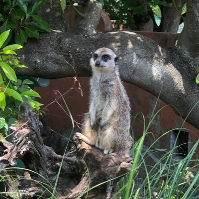 DEEPonep's profile picture. 