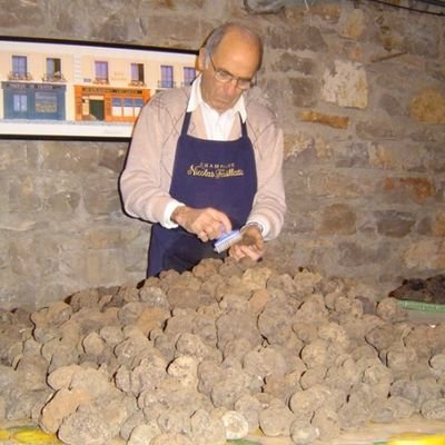 GGuissepp's profile picture. tartufaio