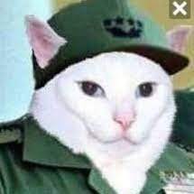 FidelGato4's profile picture. The fires of greed will burn the weak
So we’ll make freedom obsolete
Making whole the fabric of society
Collective consciousness controlled as you will see 🐍