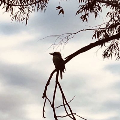 oznzusukca's profile picture. Love truth, and above all, seek truth. 人类所犯的最大的错误、就是从来都低估了掩盖和忽视真相所造成的后果。