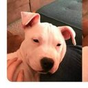 Edith Osorio - @Edithsita1824 - Twitter