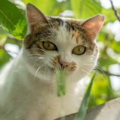 Craftypaws21's profile picture. 育児と教育の為のアカウントです。
2016年12月生まれの発達ゆっくりマイペース男児🧒🏻の母。無言フォローすみません。ツイッター初心者です🙏 モンテッソーリとレッジョエミリアに興味があります。
その正体はダイオウグソクムシ。平凡な頭脳が平凡なりの幸せを見つける為のゆる知育💖