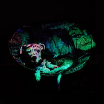 Zookeeper // 🎙️@weekendateffys