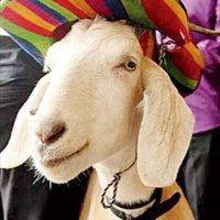 democraquoi (@democraquoi) 's Twitter Profile Photo