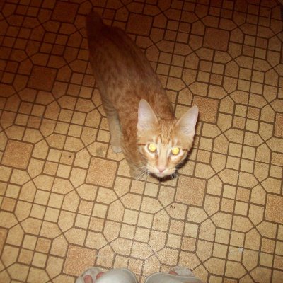 ritapeach's profile picture. 