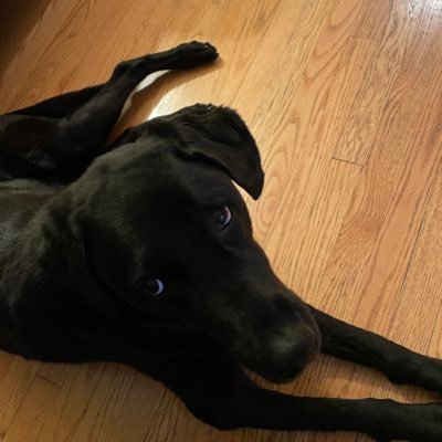 BobMaxson's profile picture. 