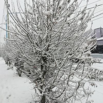 Vivo en la ciudad de Ushuaia,ciudad qué realmente merecen visitar, casado,padre de una hermosa hija 💕 ,feliz de todo lo que Dios me dio.