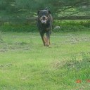 Brian Uhl - @BRyanU75 - Twitter