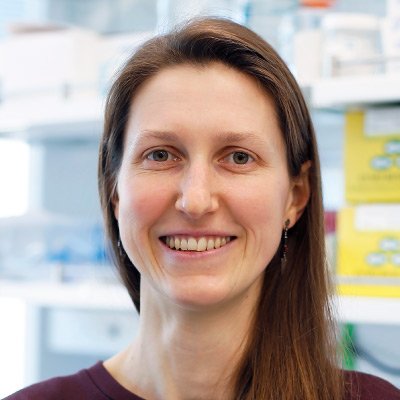 HHMI Hanna Gray Fellow & @SchmidtFellows @broadinstitute | Soon: Asst Prof @UCLA | PhD: @Stanford Biophysics @RDasLab | RNA+proteins+IDPs, HT expts+computation