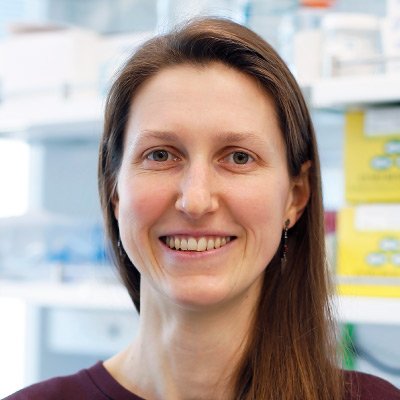 HHMI Hanna Gray Fellow and Schmidt Science Fellow @broadinstitute | Biophysics PhD @Stanford @RDasLab