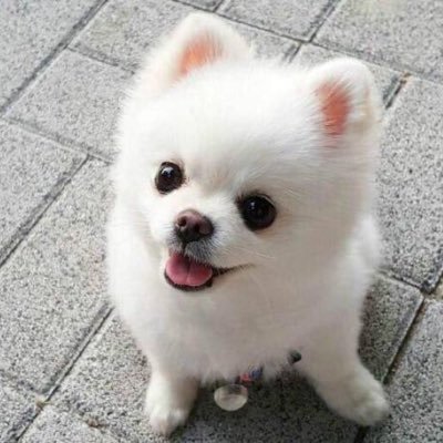 IsfjsM7RyWwXws7's profile picture. lazy