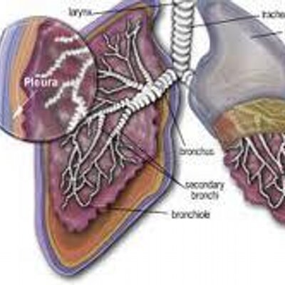copd education cpt code