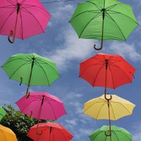 Isabelle Roignant (@isaroignant) 's Twitter Profile Photo