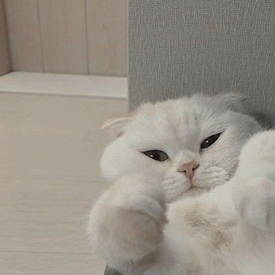 lovingminwon's profile picture. 