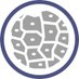 @InsiteHealthCair (@insitehealthpwr) Twitter profile photo @InsiteHealthCair (@insitehealthpwr) Twitter profile photo