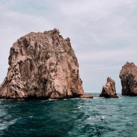 Mayateando Cabo San Lucas (@mayateandocabo) 's Twitter Profile