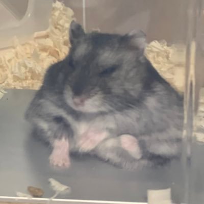 りっかさんのプロフィール画像