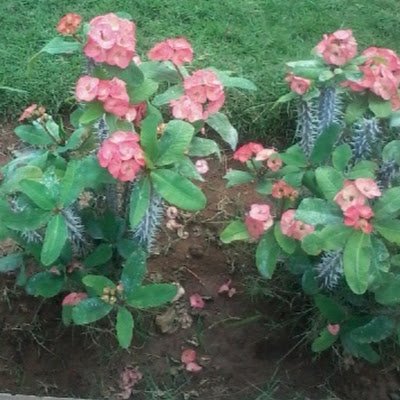 murugeshthanga7's profile picture. 