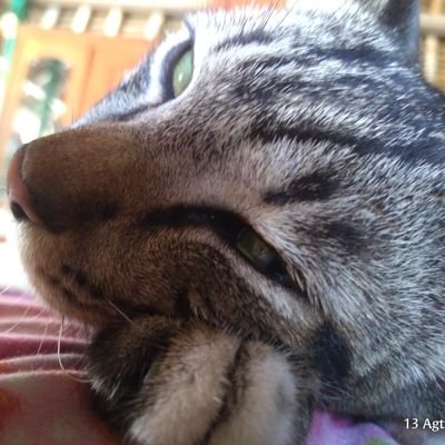 Happype22412335's profile picture. Nothing Special