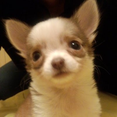zX4kB5jjmtMZ55D's profile picture. 