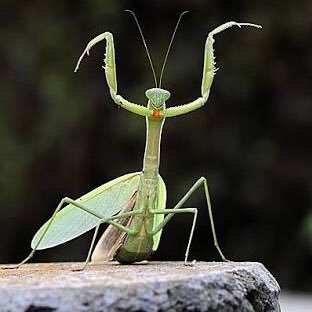 AOI72375904's profile picture. 