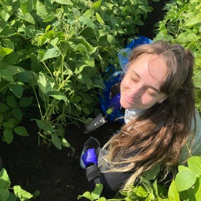 PhD student @ UoS 🌻 studying interactions between rhizobia inoculants and the soil microbiome, interested in HGT and symbiosis 🌱🧬🧫 She/her