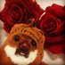 dondon (@dondonphil_hr) Twitter profile photo dondon (@dondonphil_hr) Twitter profile photo