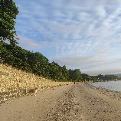 DavidKe24236510's profile picture. 