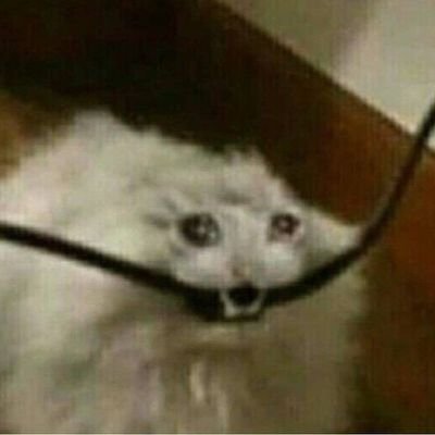 Vivi74785485's profile picture. 