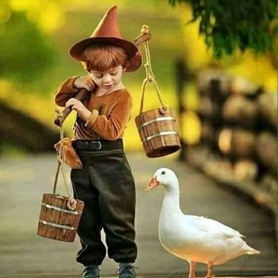 ABS2022_BDA's profile picture. Seeking