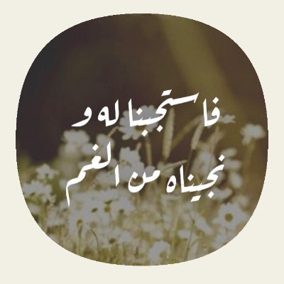 مواطن مــــــــــــــــــصــــــــــرى
