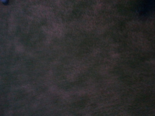 tjsanno's profile picture. https://t.co/UooNcVnBly…