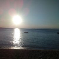 Yağız cesur (@olgunha20792493) Twitter profile photo