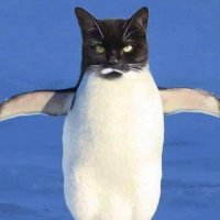 あ (@abbbbbb1003) 's Twitter Profile