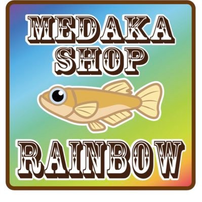 めだか屋 レインボー Hglcofxzmhtss50 Twitter めだか屋 レインボー Hglcofxzmhtss50 Twitter