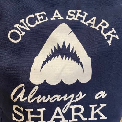 BeachlandSharks Profile Picture