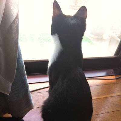 o0_moonn_0o's profile picture. メイプルM  2024/1/7〜  ファントム　ギルド「夢見がち」で活動中