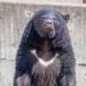 rRTNTUdrHc6YpNM's profile picture. 中小化学メーカー→大手専門商社