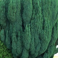 timwandelt (@tiptopvon) 's Twitter Profile