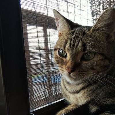 kCrK5xSiWdGi8lq's profile picture. 