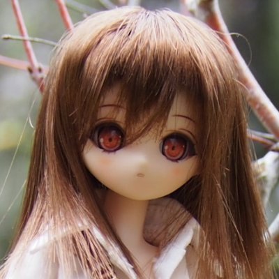 ヤミ屋のねずみ（分店）さんのプロフィール画像