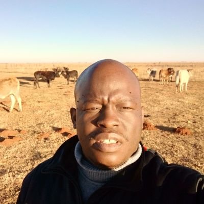 GonyaneKamo's profile picture. Sophisticated