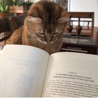 Silvia (@exlibris1959) 's Twitter Profile Photo